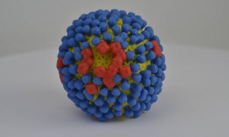 virus gripe