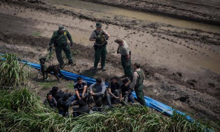 agentes fronterizos detienen inmigrantes