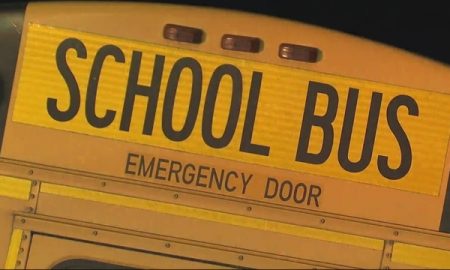 School bus driver fired