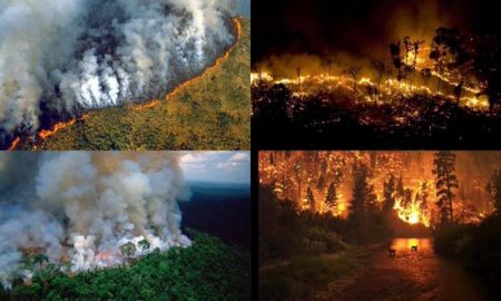 prayforamazonia ola incendios amazonas 21 08 2019