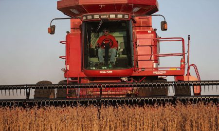cultivo soja en Iowa