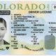 licencia para indocumentados en Colorado