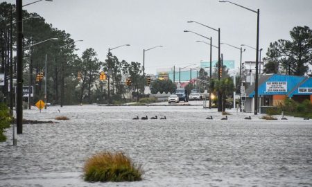 gulf shores inundado