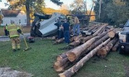 camion de troncos volcado 2 final