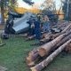 camion de troncos volcado 2 final