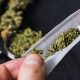 nueva york legaliza la marihuana recreativa