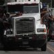 Conductor de camión donde iban decenas de migrantes encara cargos federales