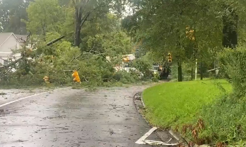 Casas y árboles dañados por la tormenta en el centro de Alabama