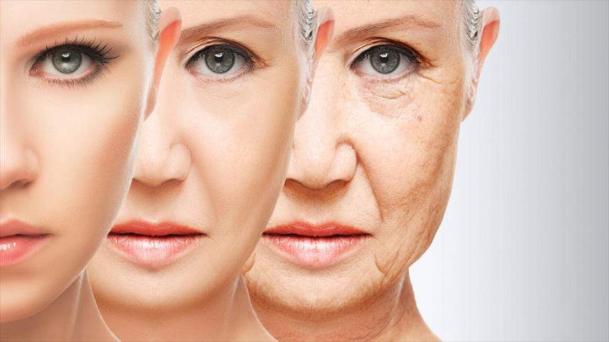 Revertir el envejecimiento, una realidad