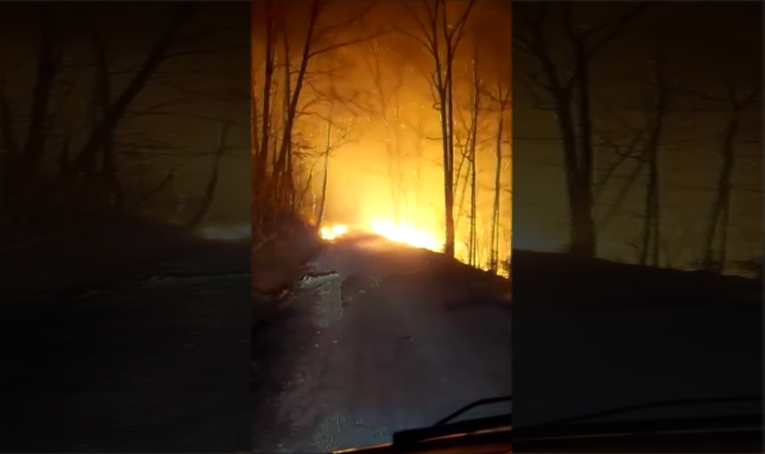 Autoridades luchan contra un gran incendio forestal en el Condado de Blount
