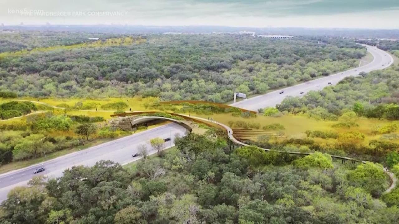Comienza construcción del puente silvestre más grande del mundo en California