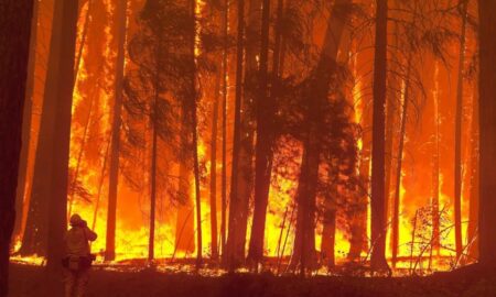 El incendio que amenaza las secuoyas de Yosemite (EEUU), contenido en un 25%