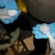 4 arrestados por tráfico de fentanilo y metanfetamina en el condado de Walker