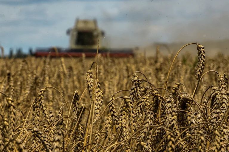 EEUU comprará 68 millones de trigo ucraniano para enviarlos a países pobres