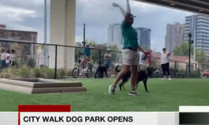 Nuevo parque para perros Birmingham City Walk, The Barkery, ya está abierto