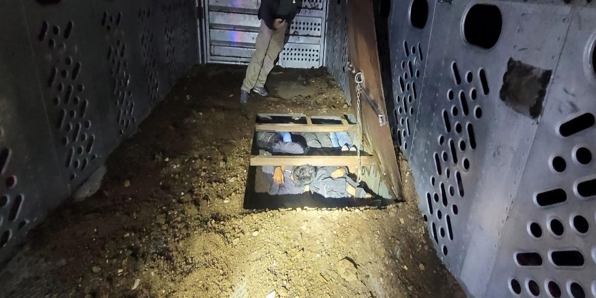 Hallan migrantes escondidos debajo del piso de camión de transporte de ganado