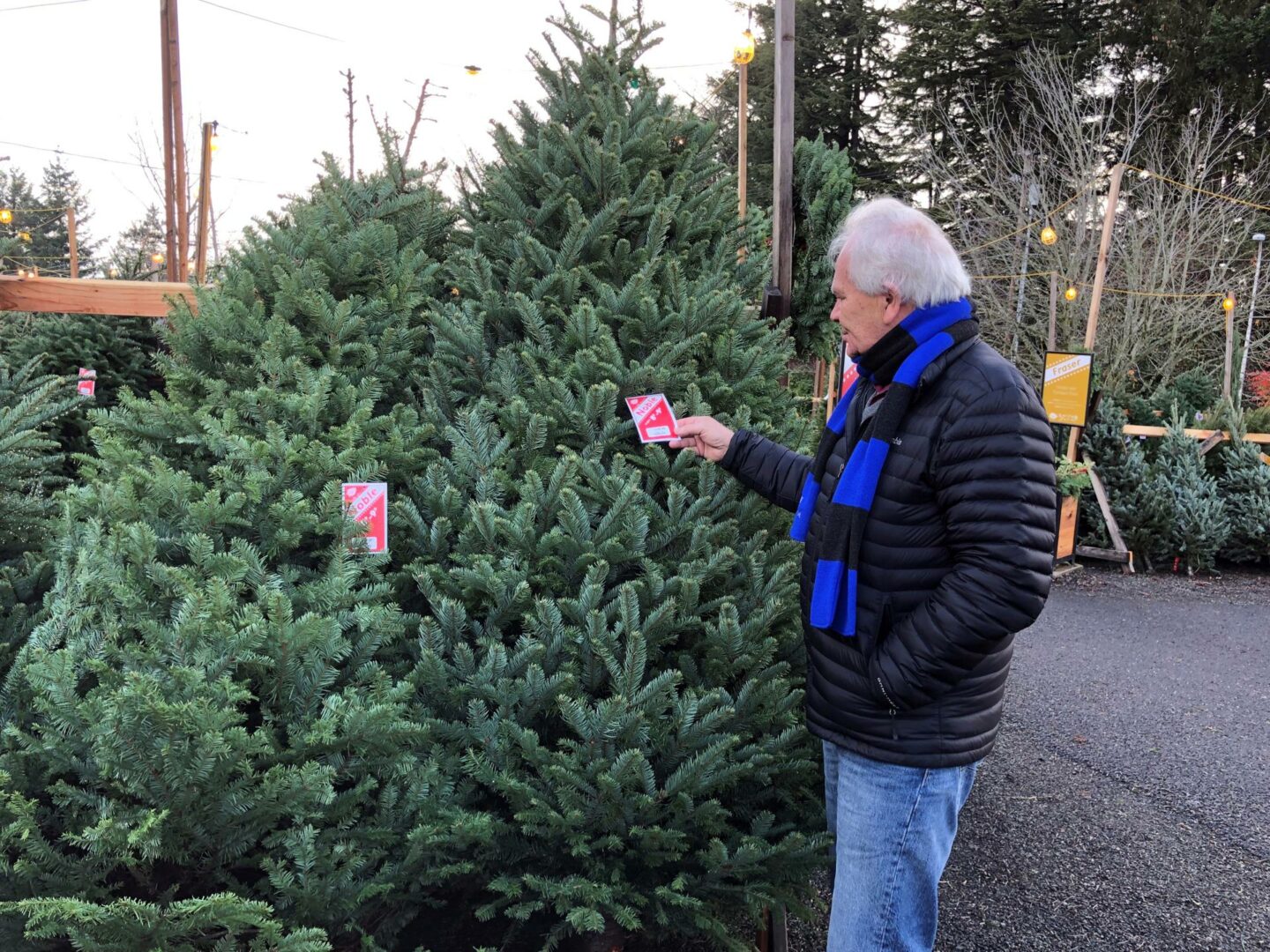 Nueva York recoge desde hoy miles de árboles de navidad abandonados en calles