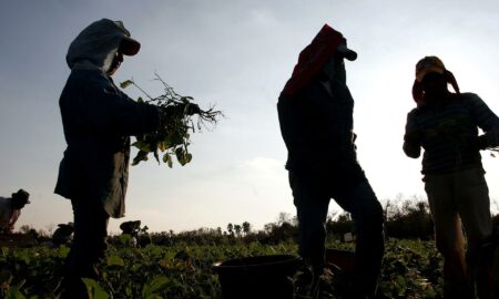 EEUU multa a agencia de empleo de California por retener pagos de campesinos
