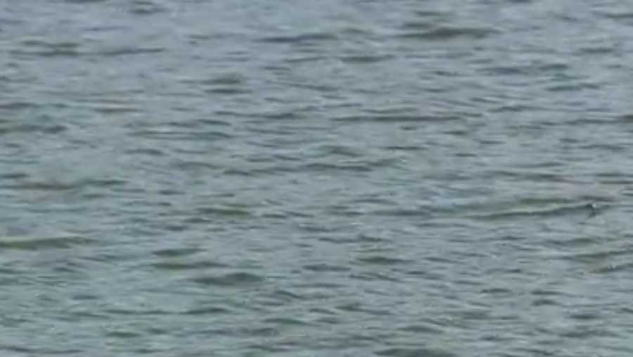 Encontrado en el agua el cuerpo de un hombre en el condado de Bibb