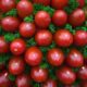 Nueve años de cárcel a mexicano que intentó hacer pasar fentanilo por tomates