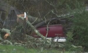 Muere hombre por árbol que cayó sobre su camioneta en Talladega