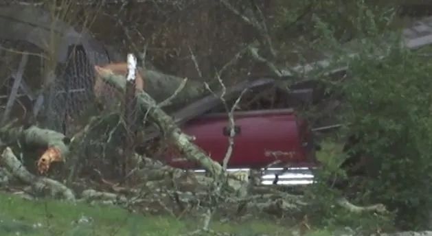 Muere hombre por árbol que cayó sobre su camioneta en Talladega