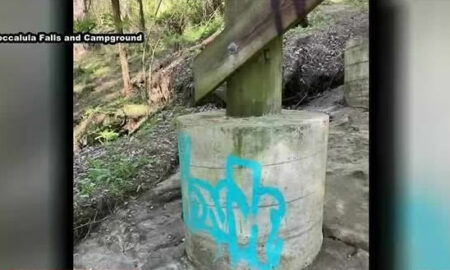 Noccalula Falls vandalizada; líderes de la ciudad planean enjuiciar a los sospechosos
