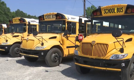 Las escuelas del condado de Tuscaloosa buscan contratar nuevos conductores de autobuses escolares