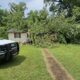 1 persona herida después que un árbol cayera sobre una casa en Eutaw