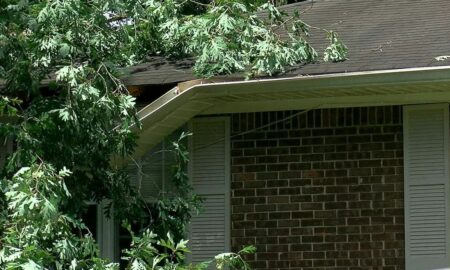 Enorme roble blanco partió la casa de un hombre en Tuscaloosa