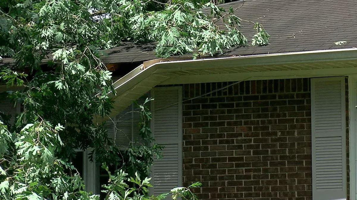 Enorme roble blanco partió la casa de un hombre en Tuscaloosa