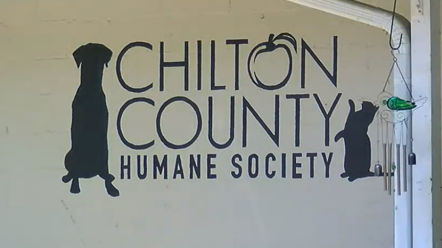 Sociedad Protectora de Animales del Condado de Chilton en modo de crisis