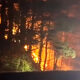 Alabama bajo alerta de incendio mientras continúan las sequías en todo el estado