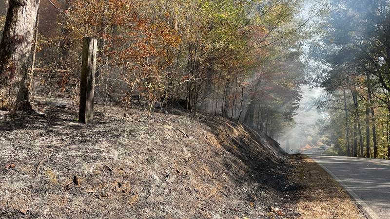 Un incendio forestal en Adger quema más de 400 acres