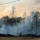 Gran incendio forestal en el condado de Tuscaloosa impacta varias casas