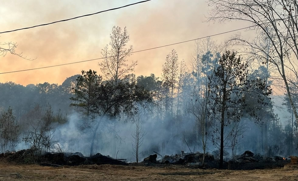 Gran incendio forestal en el condado de Tuscaloosa impacta varias casas