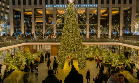 La Navidad en Nueva York es solo un árbol decorado