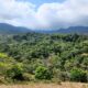 Cuatro muertos y tres heridos en un accidente de helicóptero militar de Colombia en el Darién