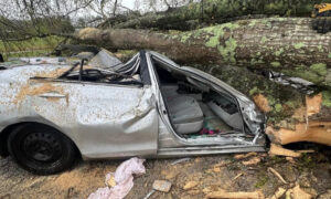 Socorristas del condado de Etowah rescatan a una mujer atrapada en un vehículo aplastado por árboles