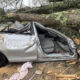 Socorristas del condado de Etowah rescatan a una mujer atrapada en un vehículo aplastado por árboles